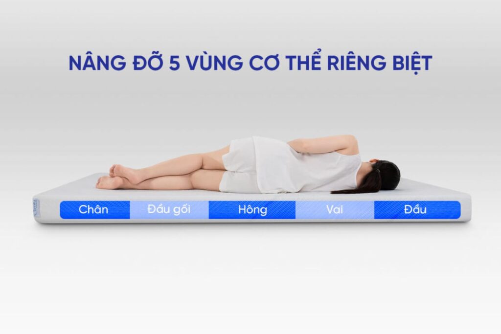 nệm cho người bị đau thần kinh tọa comfy cloud 1.0