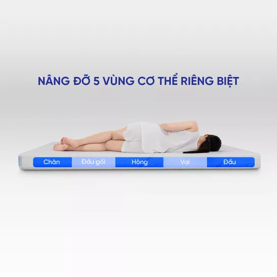 Nâng đỡ 5 vùng cơ thể riêng biệt