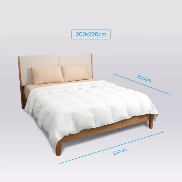 Ruột chăn lông vũ Doona Microfiber