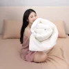 Ruột chăn lông vũ Doona Microfiber cao cấp