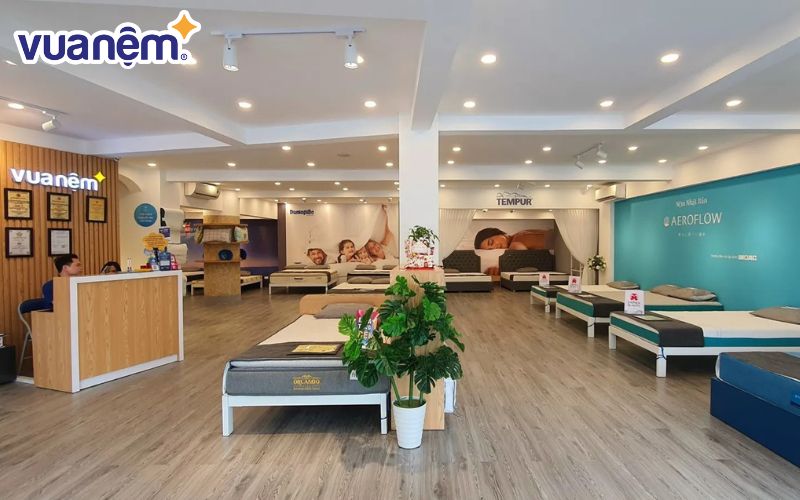 Review công ty Vua Nệm: Môi trường làm việc có thực sự tốt? 2 Vua Nệm hiện là chuỗi bán lẻ nệm lớn nhất tại Việt Nam